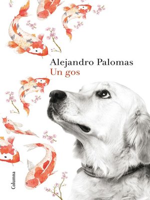 cover image of Un gos